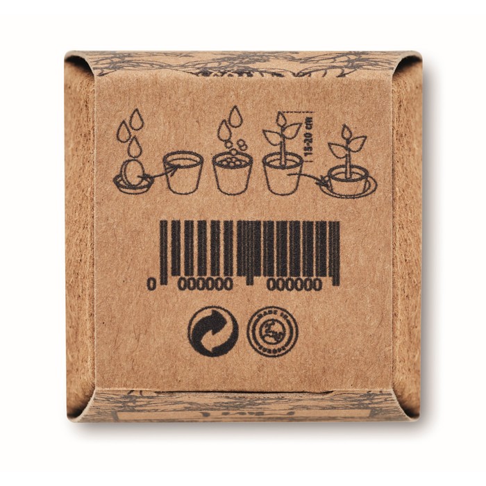 Pflanz-Set Minze