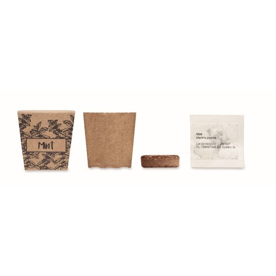 Pflanz-Set Minze