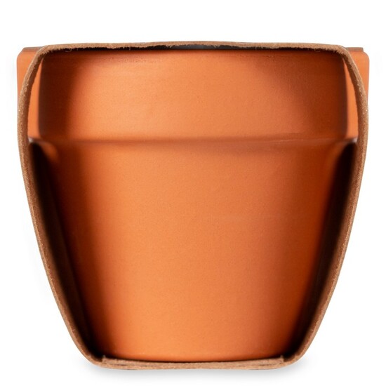 Terracotta-Topf Sonnenblume