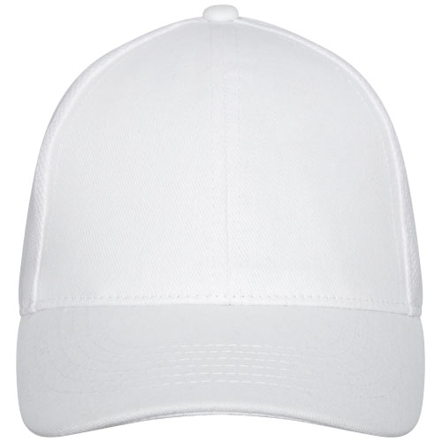 Drake Trucker Kappe mit 6 Segmenten