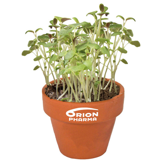 Logo-Topf mit Samen - teracotta - Gartenkresse