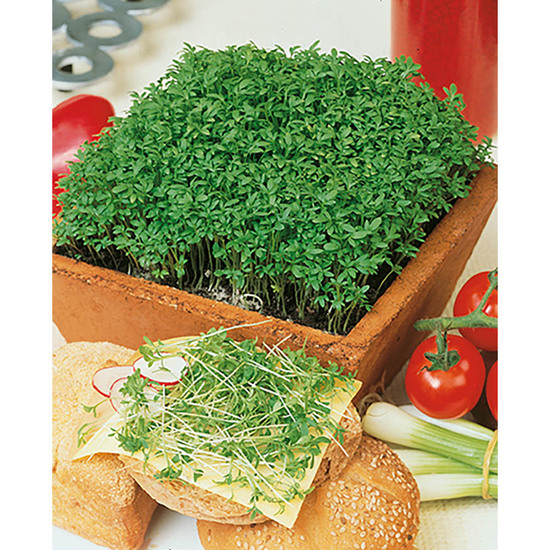 Samentütchen Mini - Natronkraftpapier - Gartenkresse