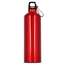 Aluminium Wasserflasche mit Karabiner 750ml