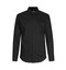 SEVEN SEAS Poplin | slim