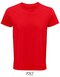 Crusader Men T-Shirt