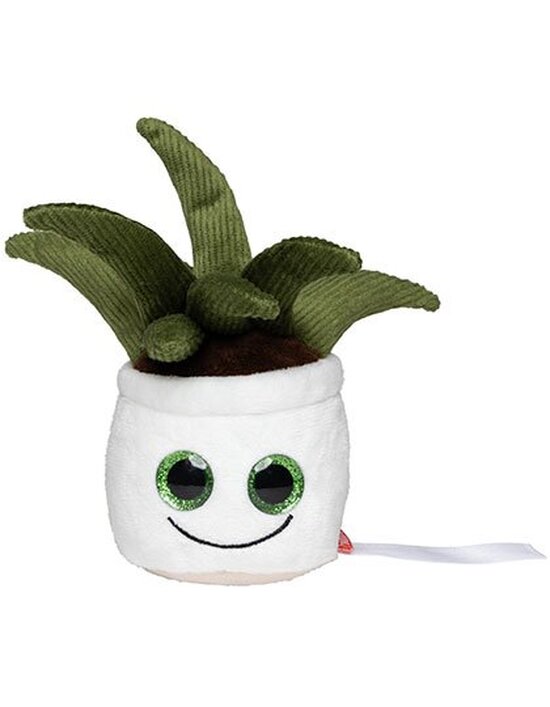 Schmoozies® Evergreenies® Aloe Vera