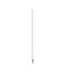BIC® Evolution® Ecolutions® Cut Bleistift
